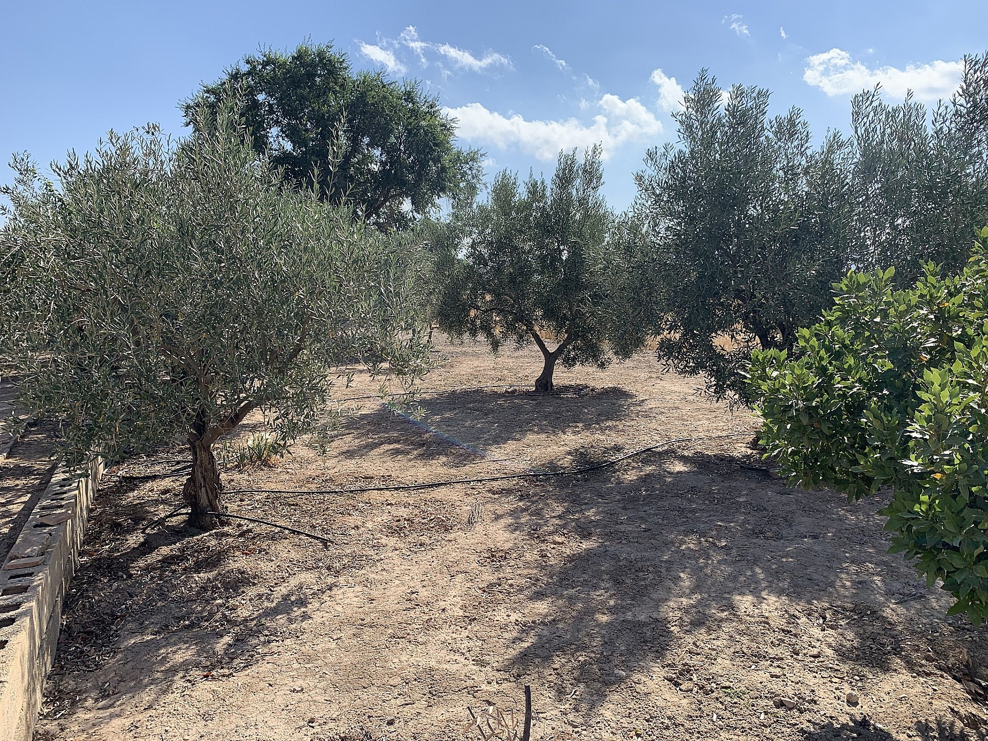 w_6d6fvcvrc7tqb0co2hxq