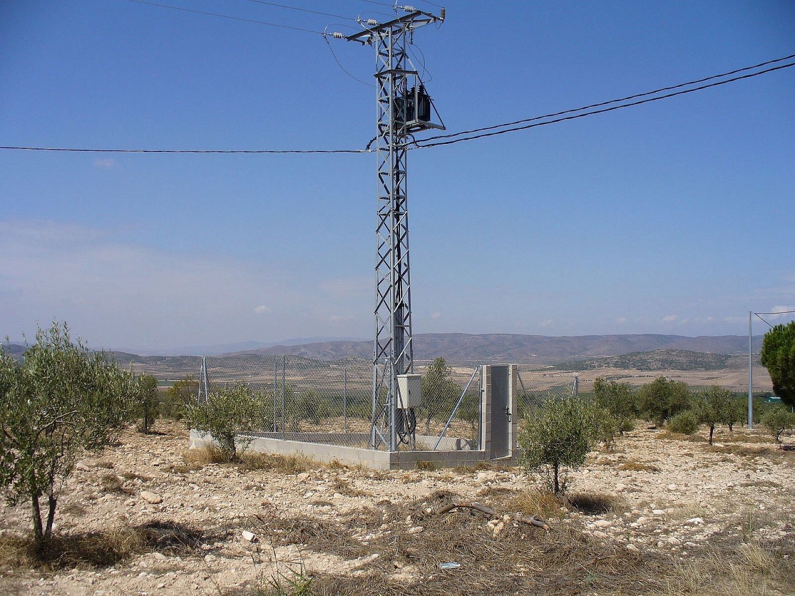 w_6yz7z7b404h6i032ao8p