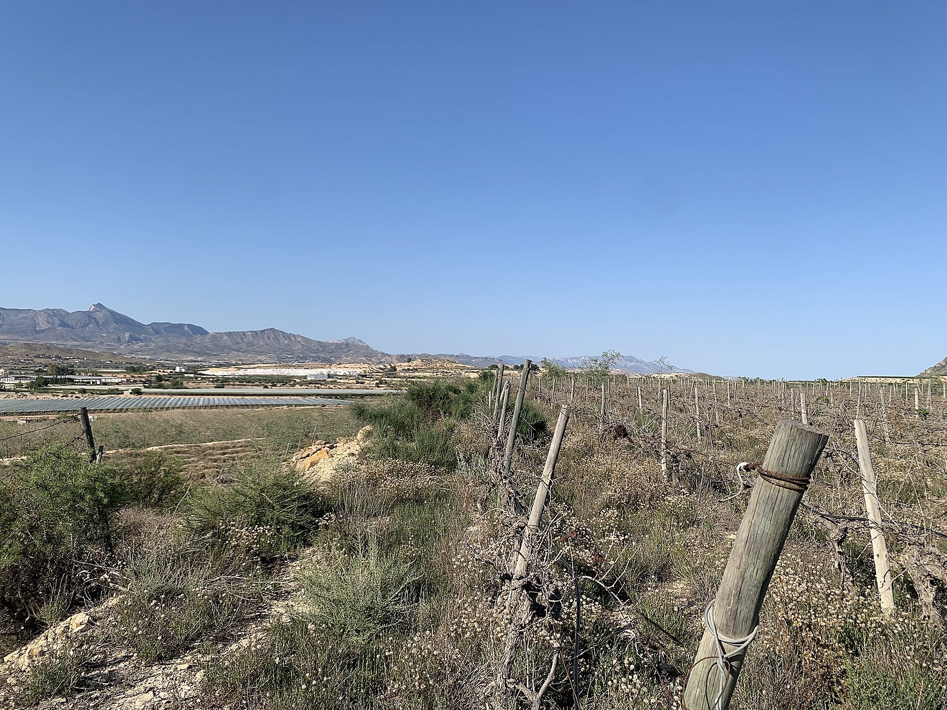 w_6z32jgyxffx5e4ifurj2