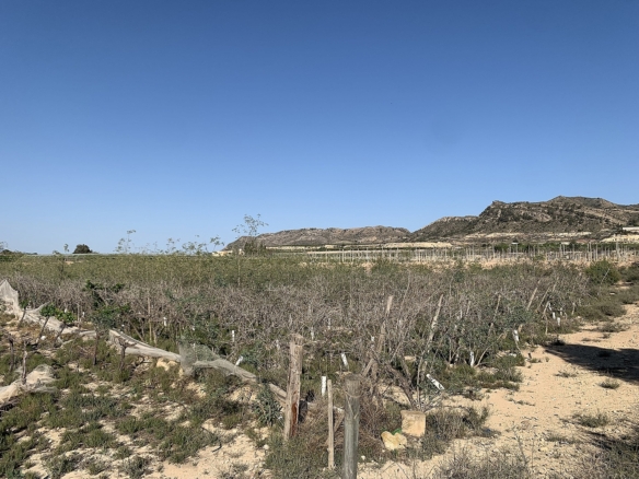 Grundstück in Monforte Del Cid (Alicante)