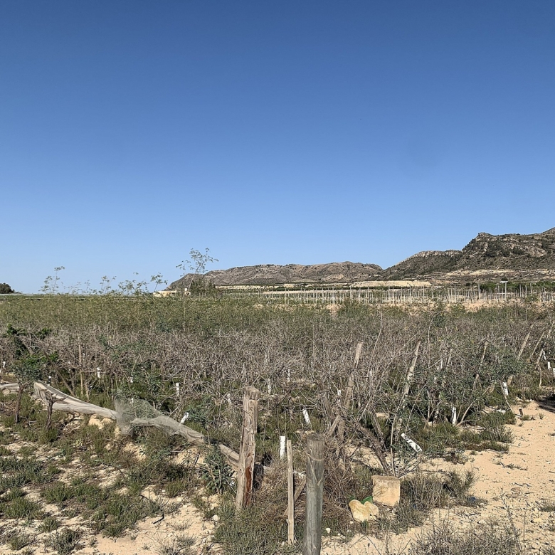Grundstück in Monforte Del Cid (Alicante)