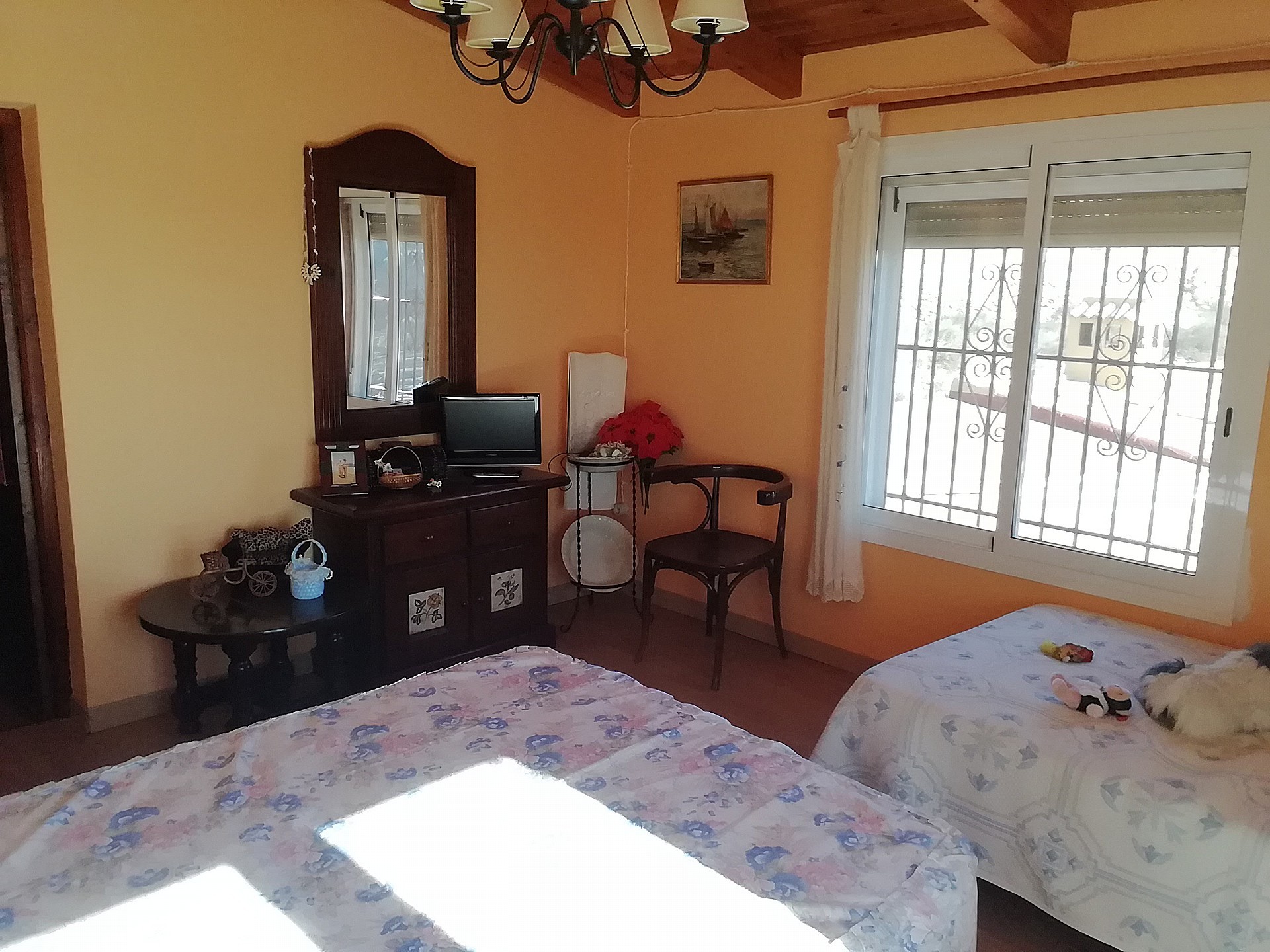 w_7ap3q55ypyqw5chnogxc