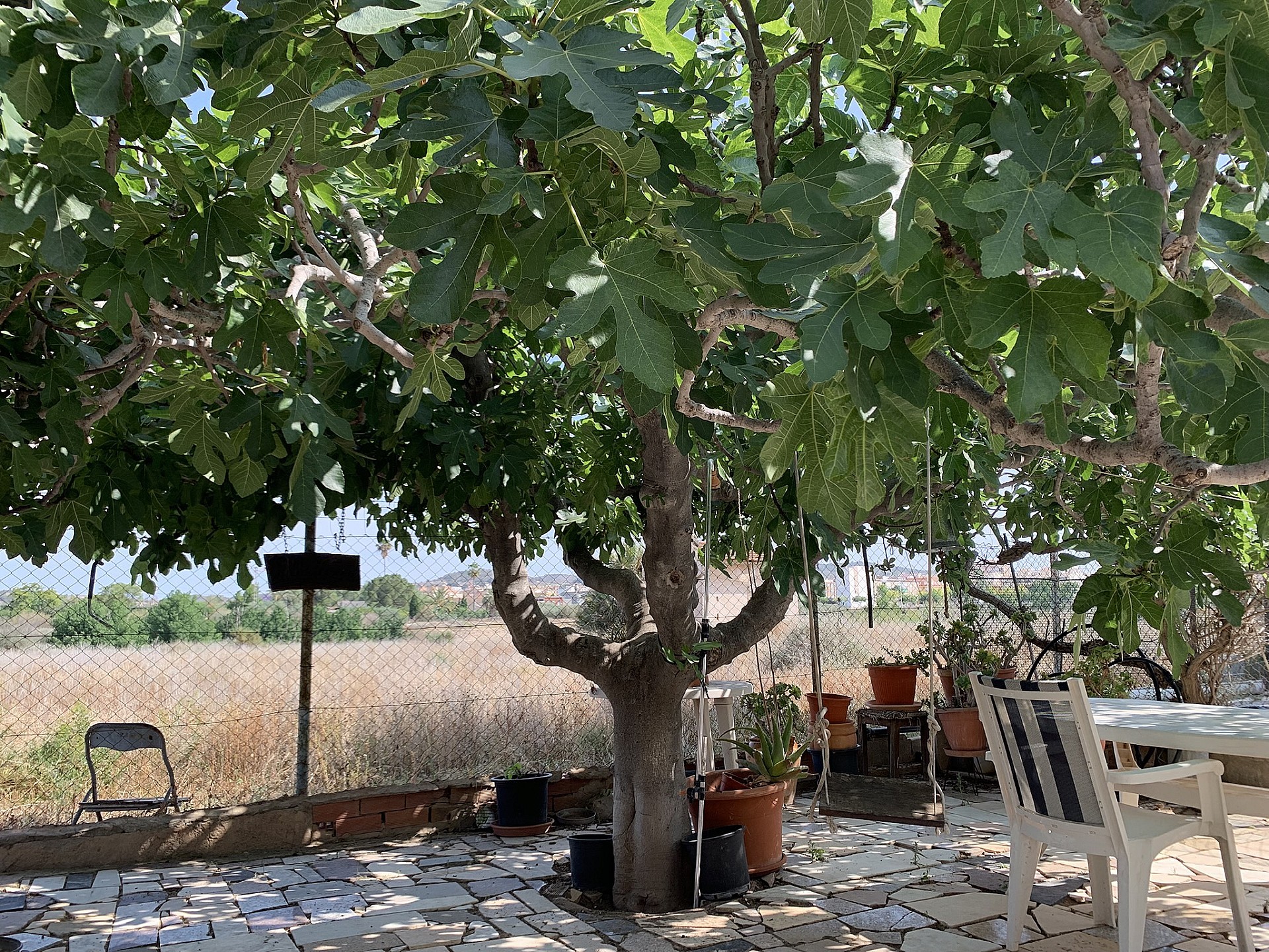 w_7skynj6pi6aipc27iurc