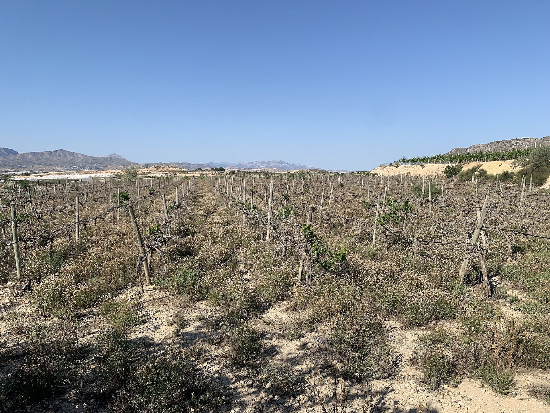 w_7unijkc83vee8bn2wzg0