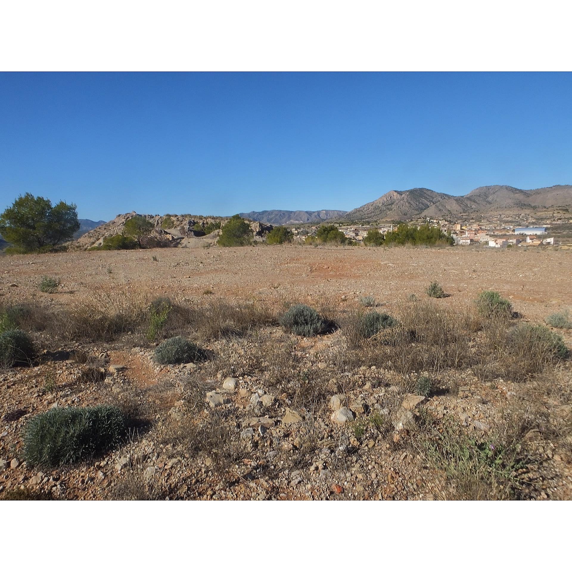 w_7uvgoizhc4osigt3rpi4