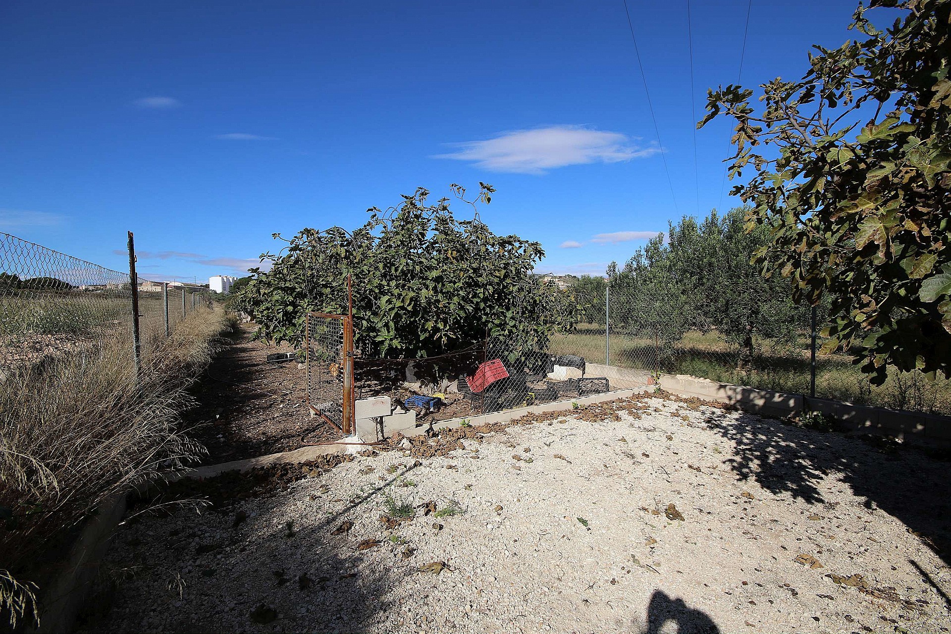 w_7zcn8pqeco6dm7oirtnt