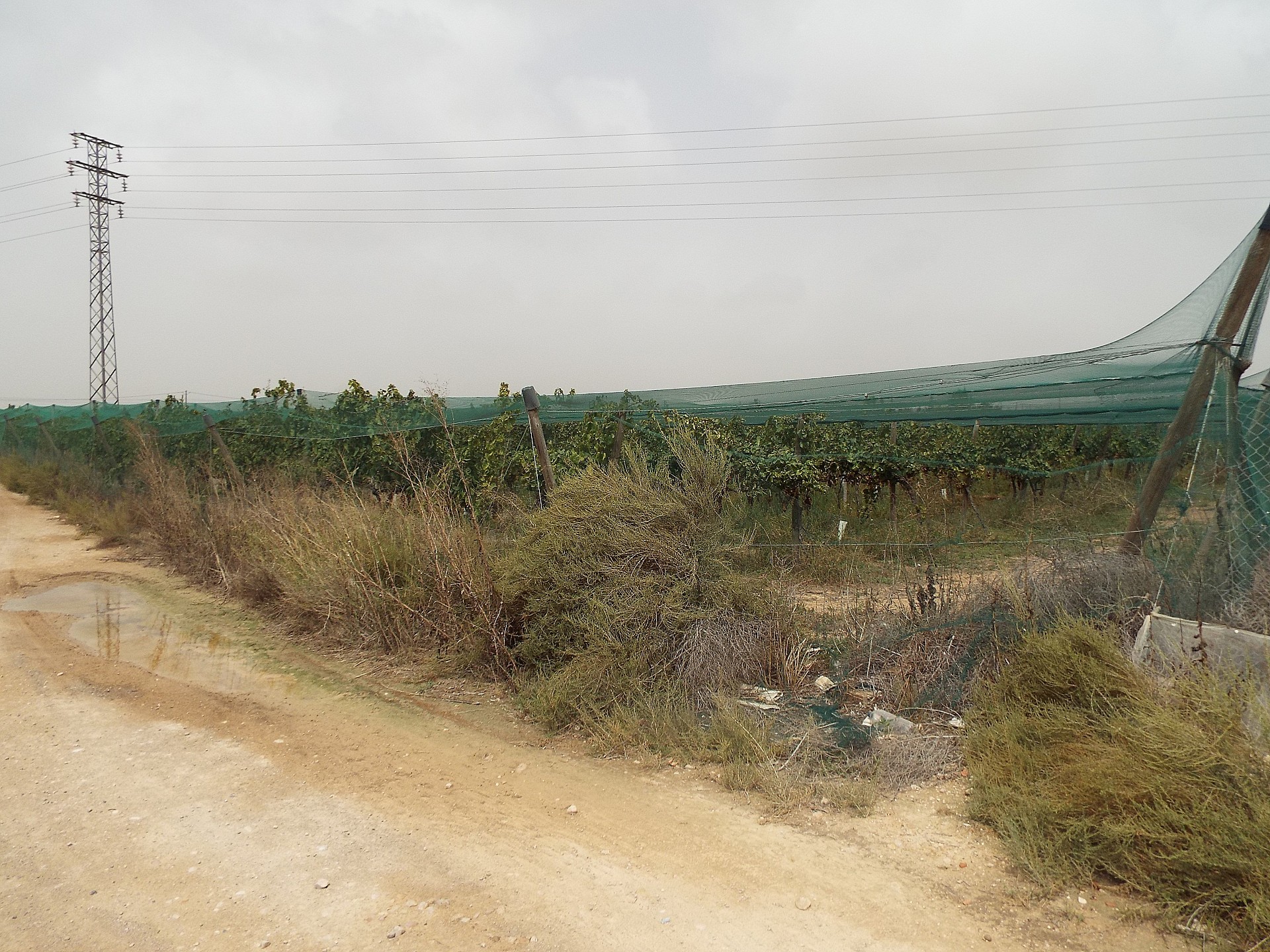 w_8063d4636yhpe34mny8g