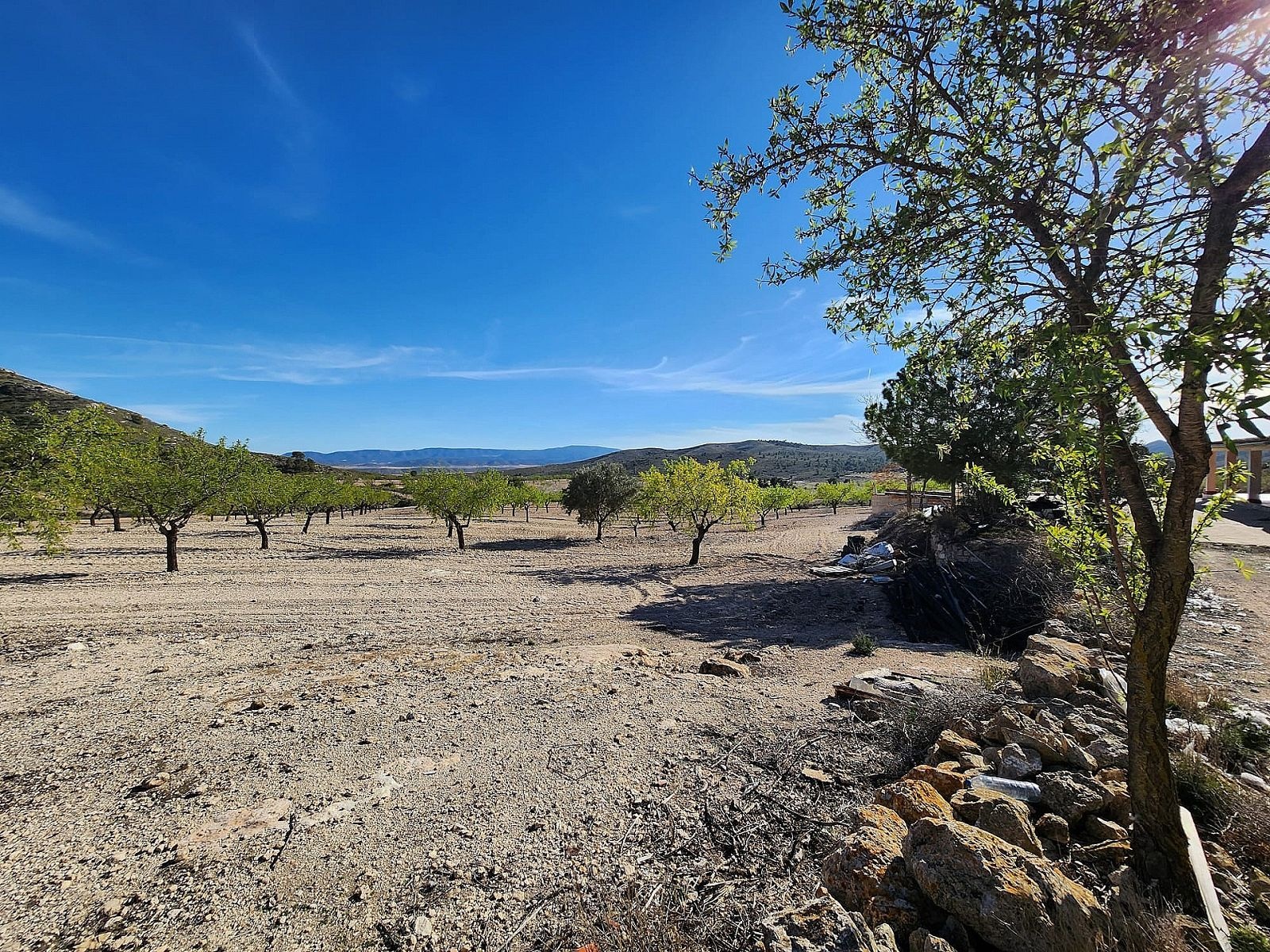 w_8fdp7jyq4j7pyknmmvk6