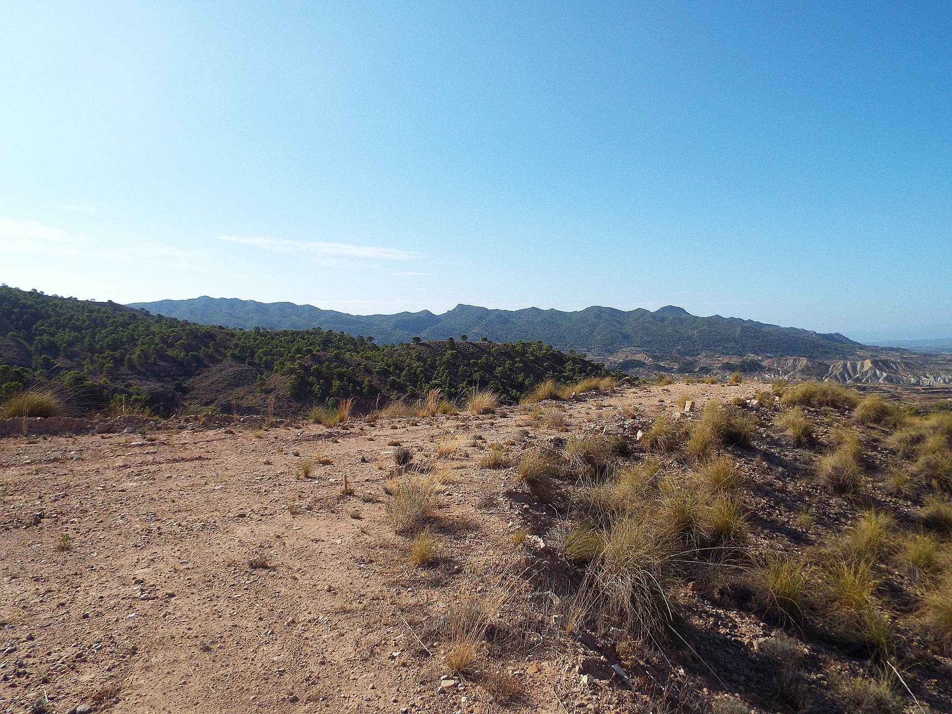 w_8okv3d4qf2fb6njgah0d