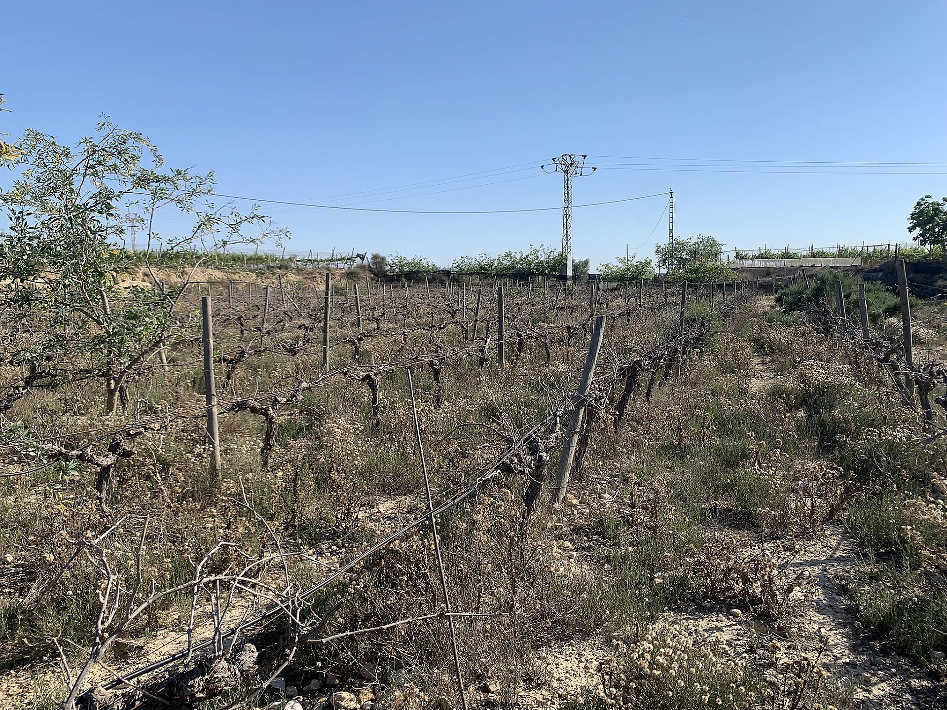 w_ag3eqn08mzxry8ztwyhb