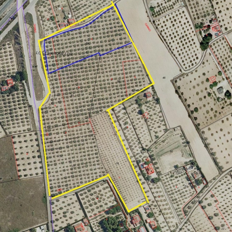 Grundstück in Sax (Alicante)