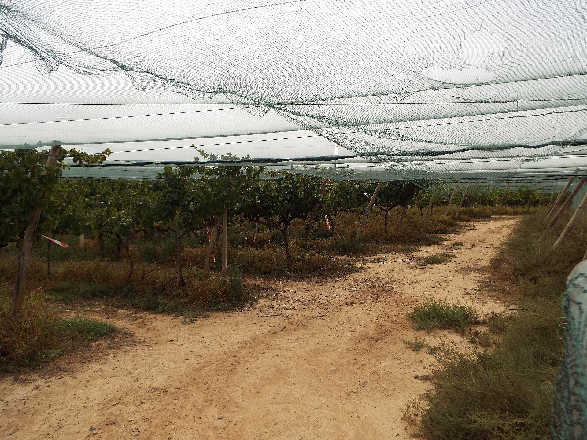 w_am0sjs3zqxvfep2ateq4