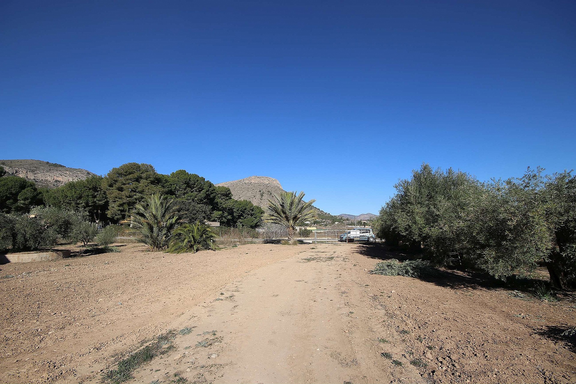 w_an502nszn4ydan3qgtnc