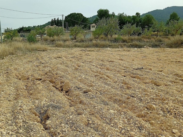 Grundstück in Monovar (Alicante)