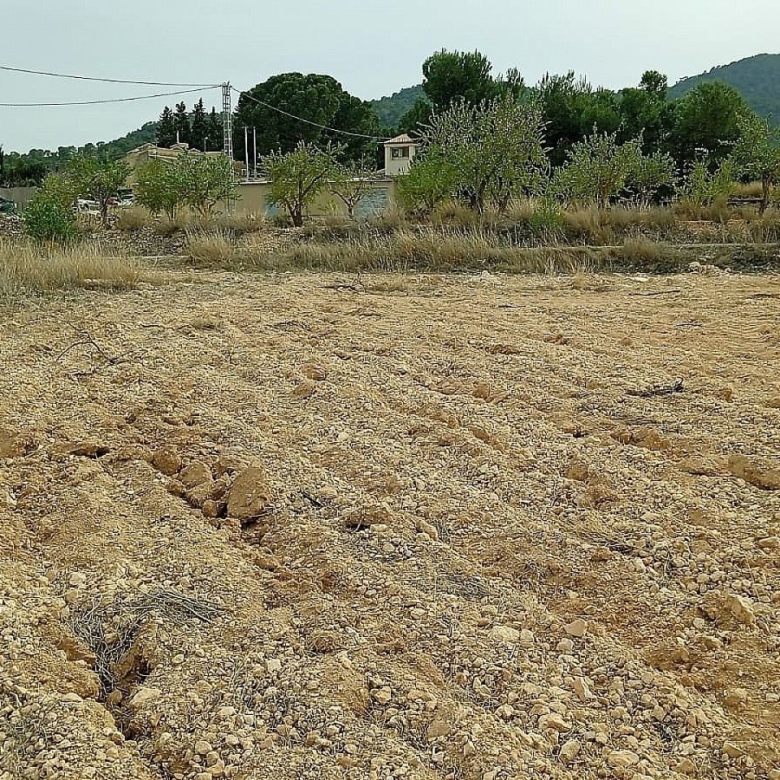 Grundstück in Monovar (Alicante)