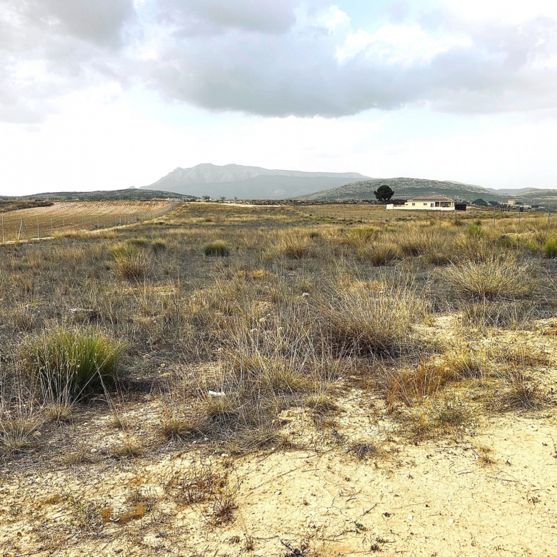Grundstück in Torre Del Rico (Murcia)