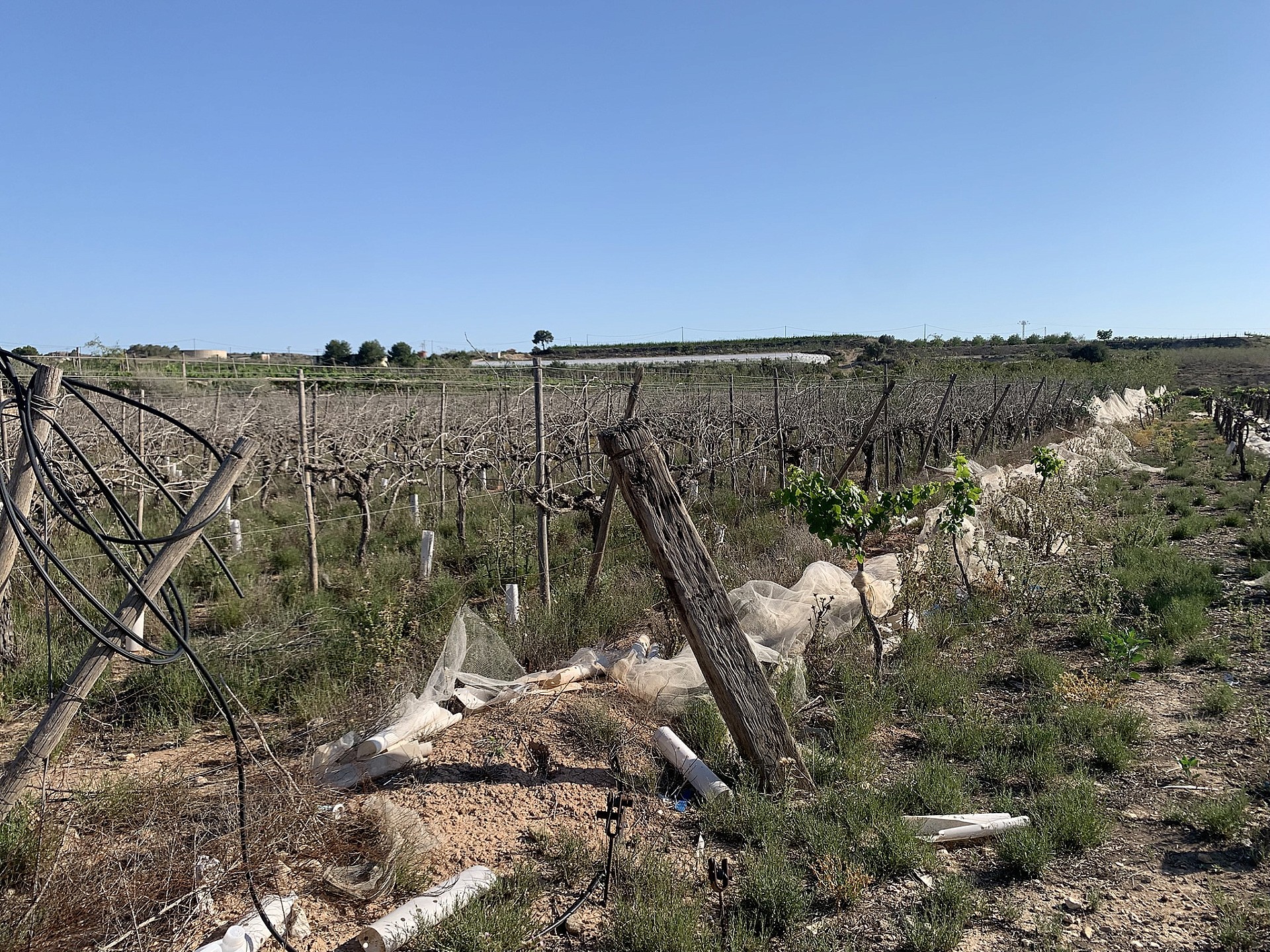 w_b4oekwk38xiwg2zegkfb