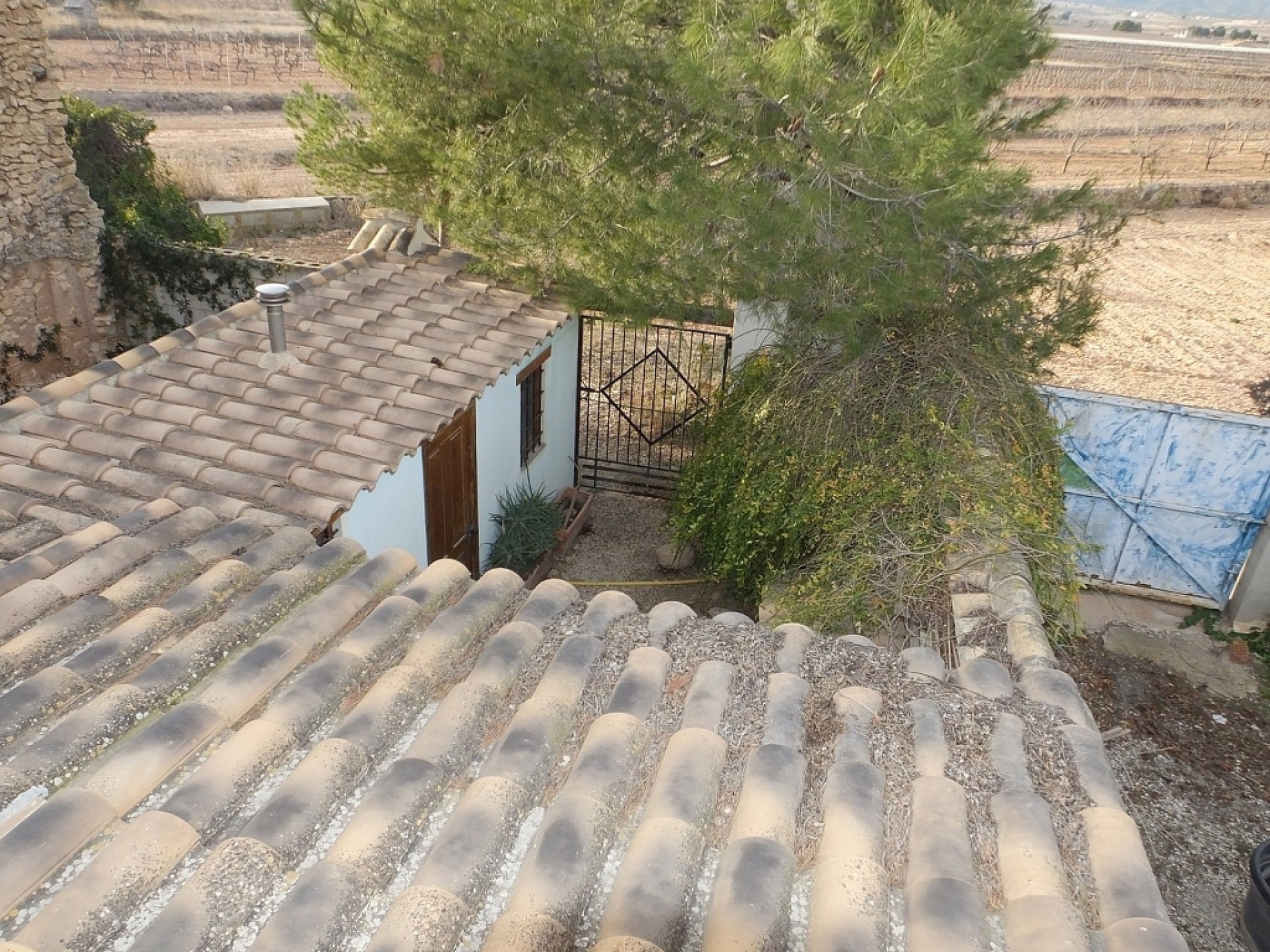 w_bpwmt37j06ffg0e5kajb