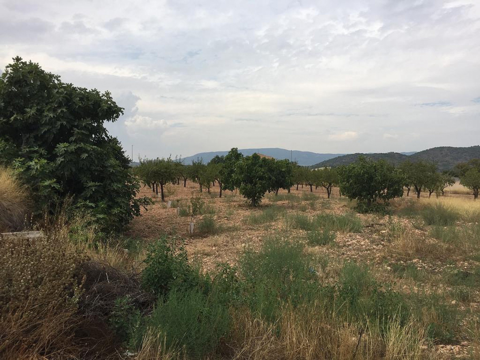 w_bqoc6hgsd6gsnyvz7xzi