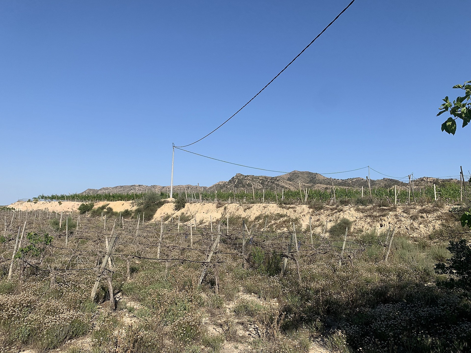 w_c03edjitikkdawxyjqci