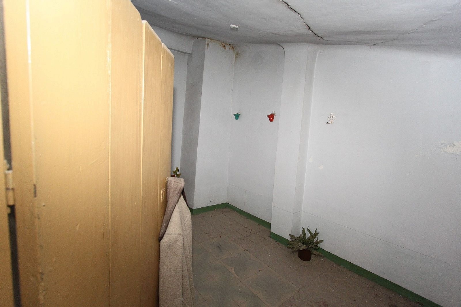 w_c55b6dyro862pgjgydmo