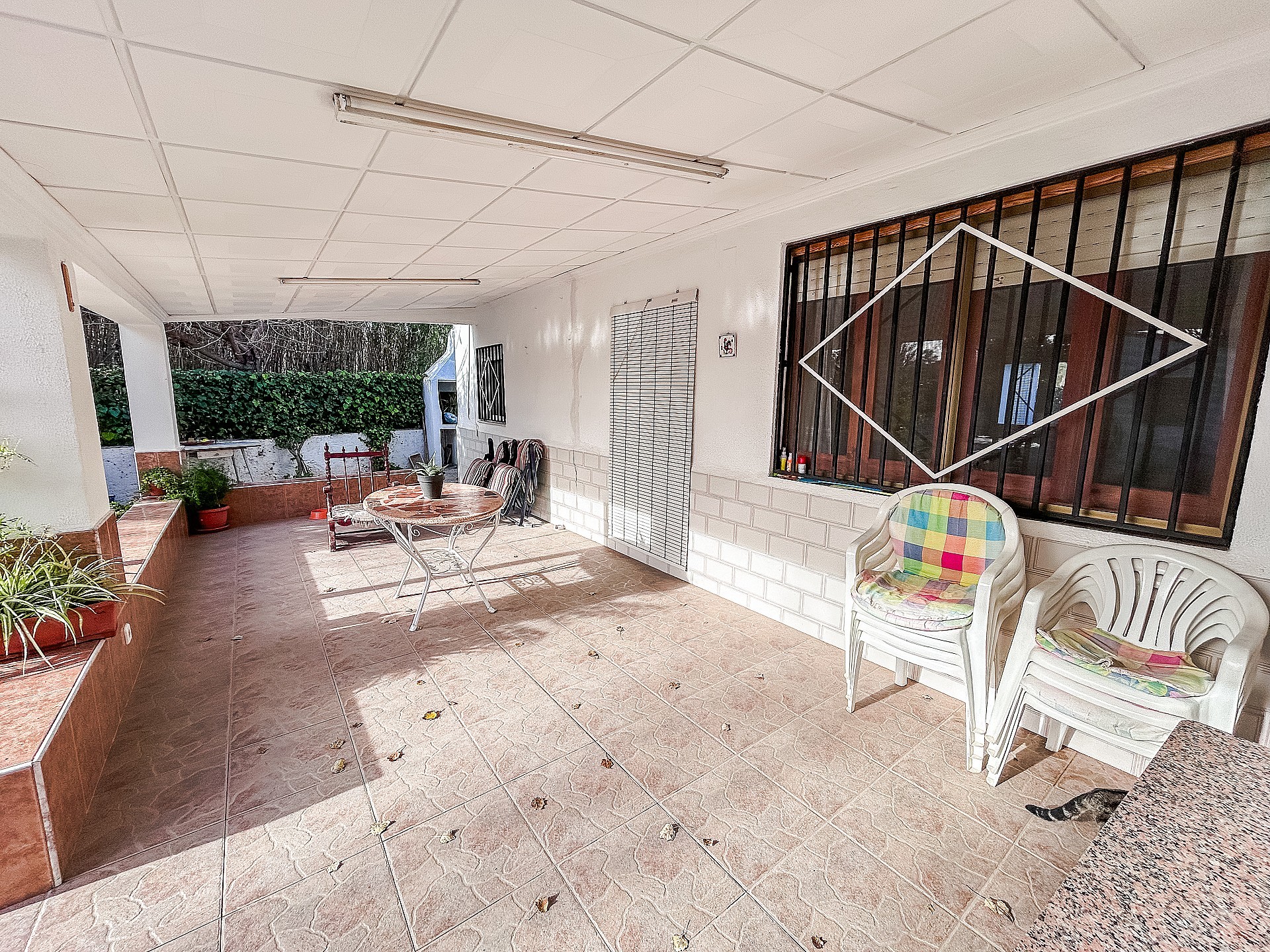 w_c6gfrqp4v4df8pfn3i25