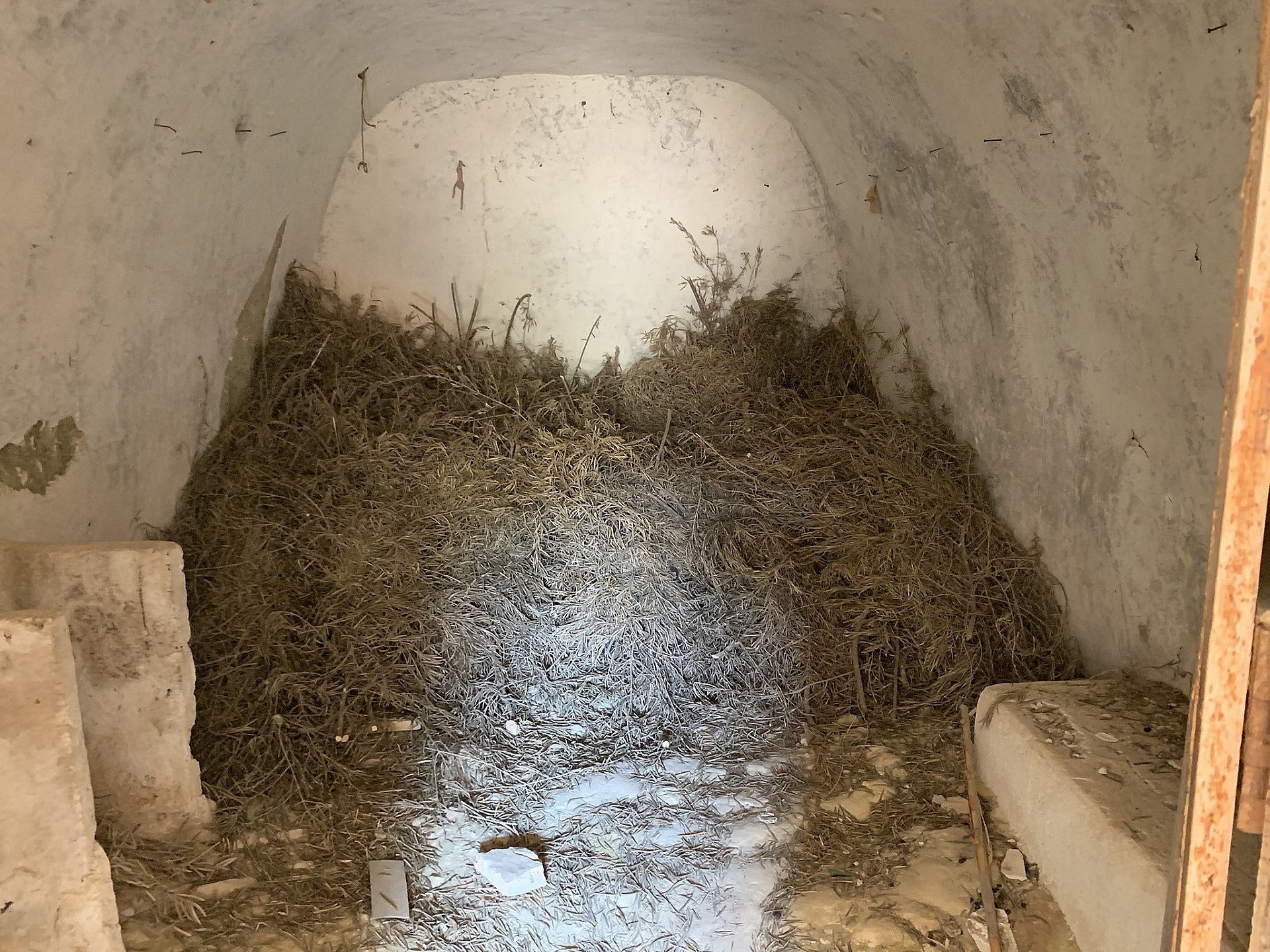 w_c724vrp3gpic5k6aieba