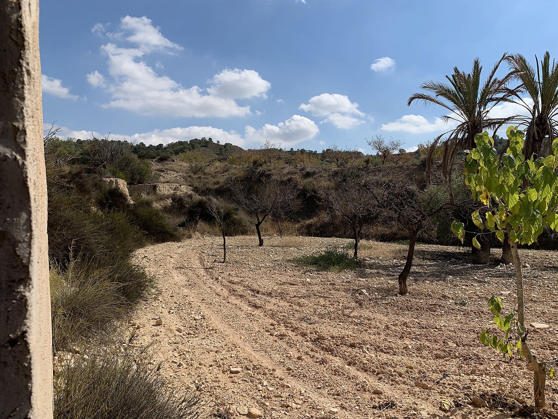 w_cm00rf8yxfr2vpor3zhy