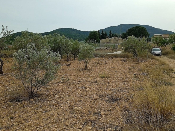 Grundstück in Monovar (Alicante)
