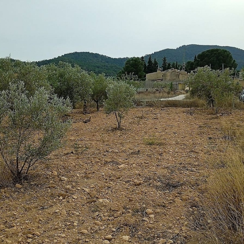 Grundstück in Monovar (Alicante)