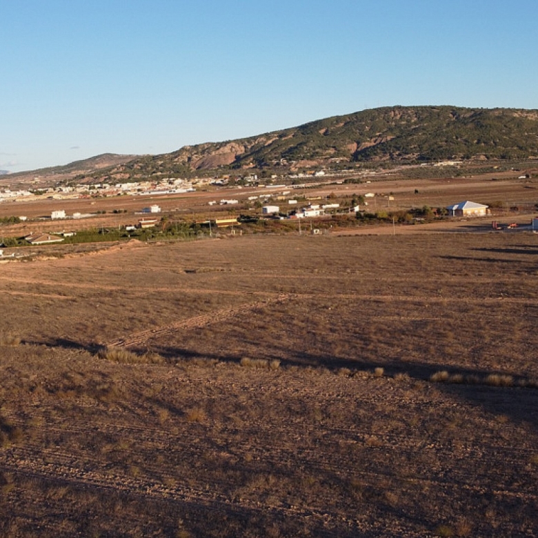 Grundstück in Pinoso (Alicante)