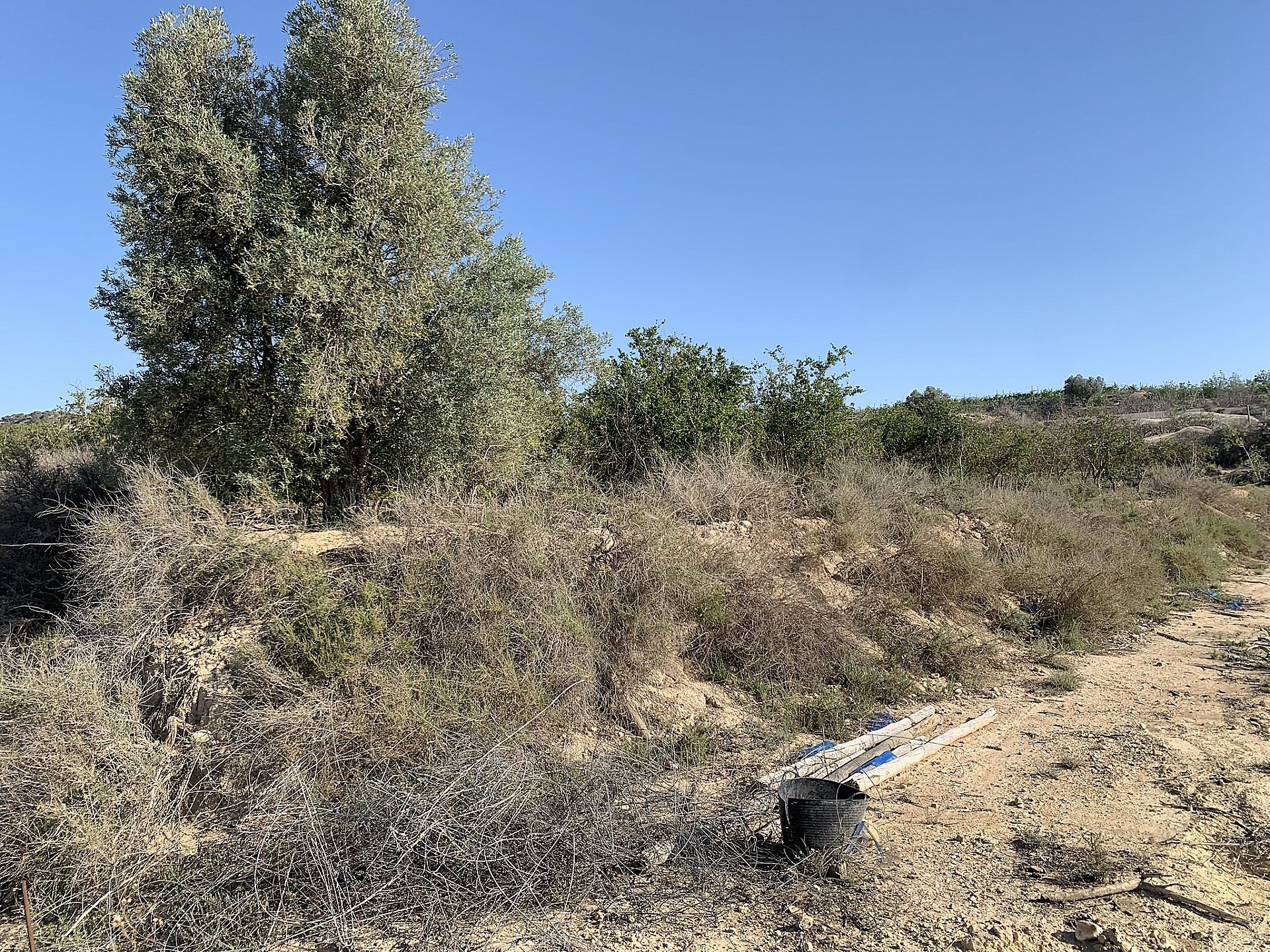 w_d80nqauzqv2o38j5xnoc