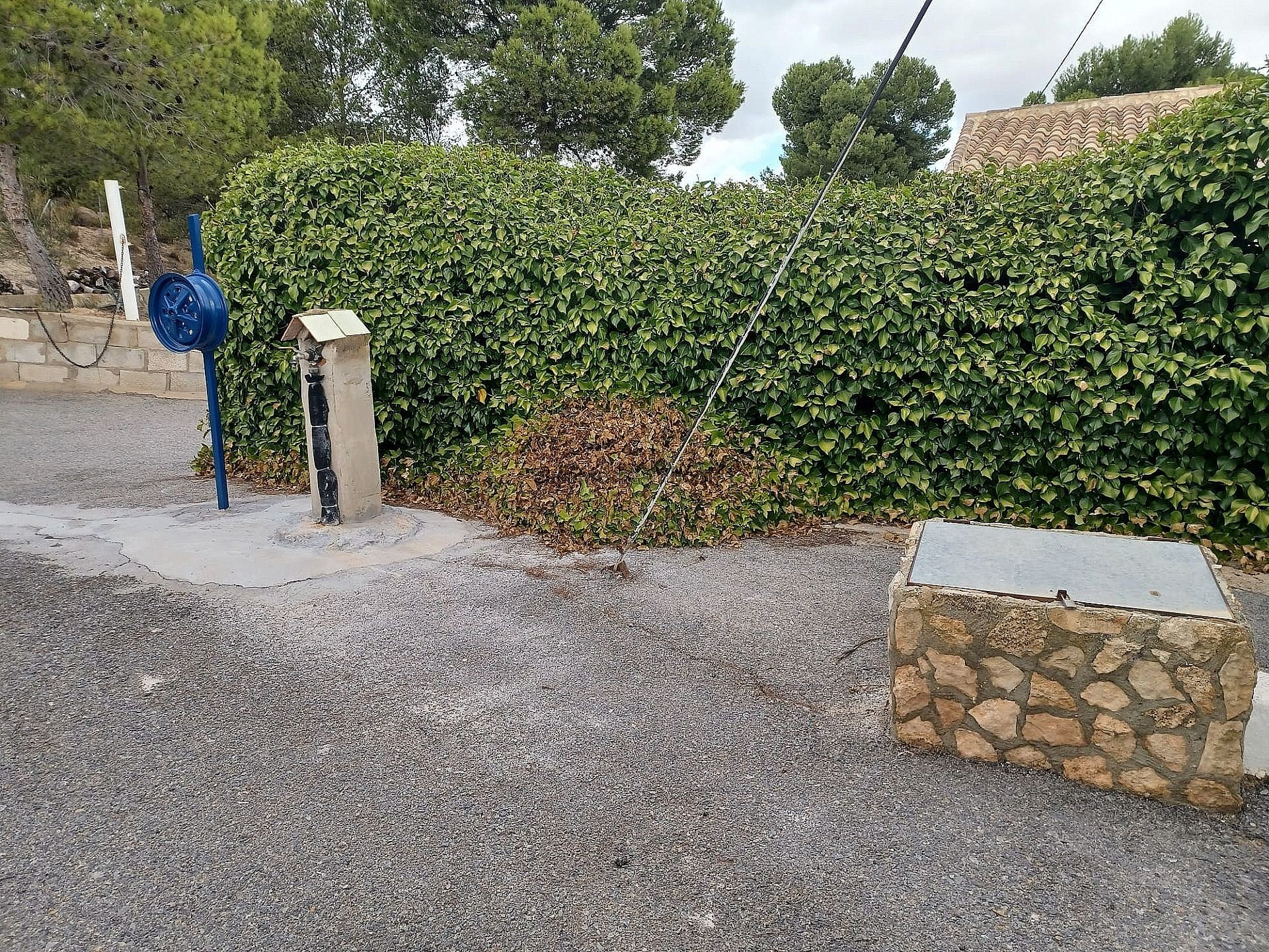 w_dovyog6zfjy64qq45b44