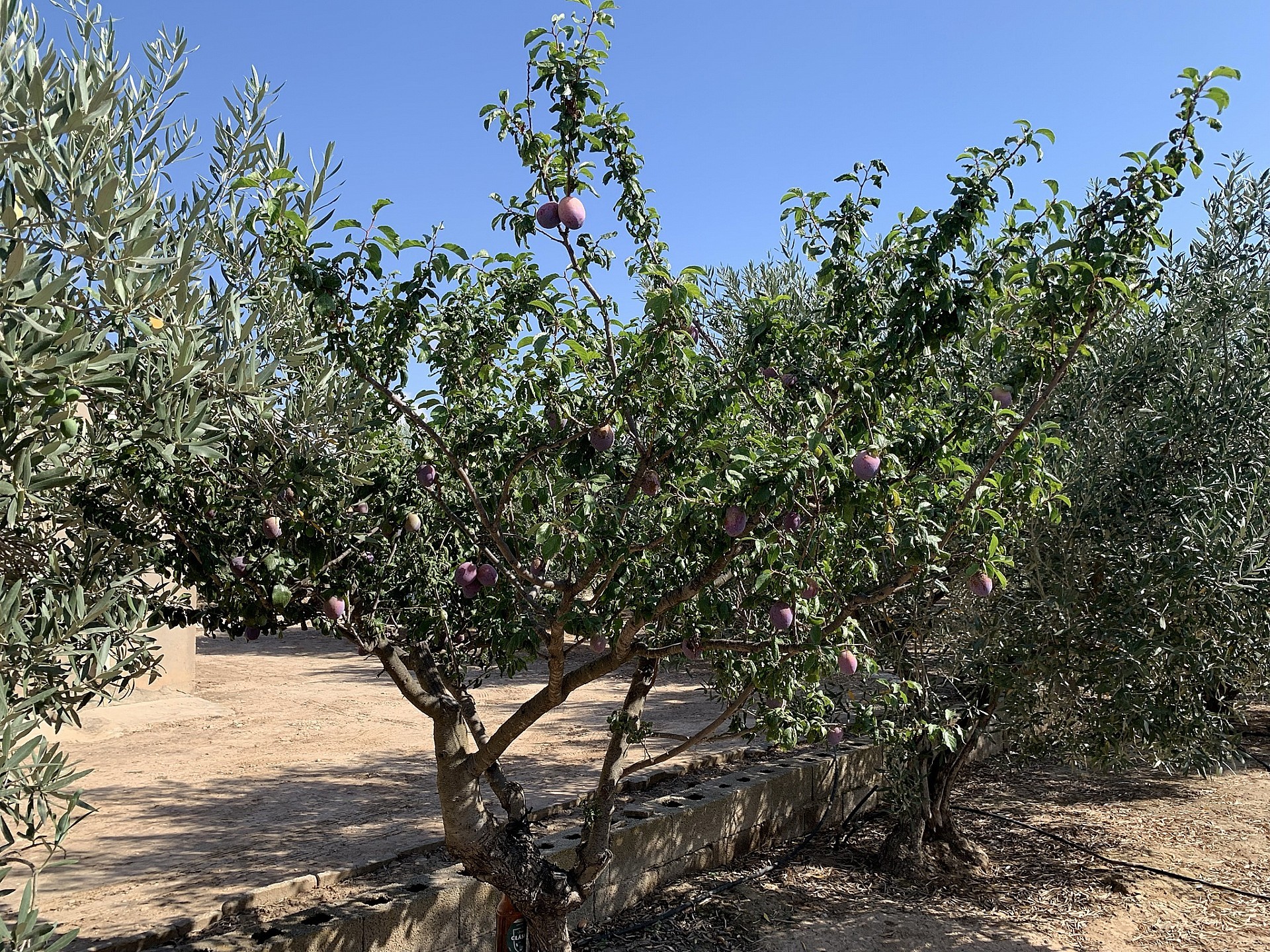 w_dq56ugukvkx0wqojefa7