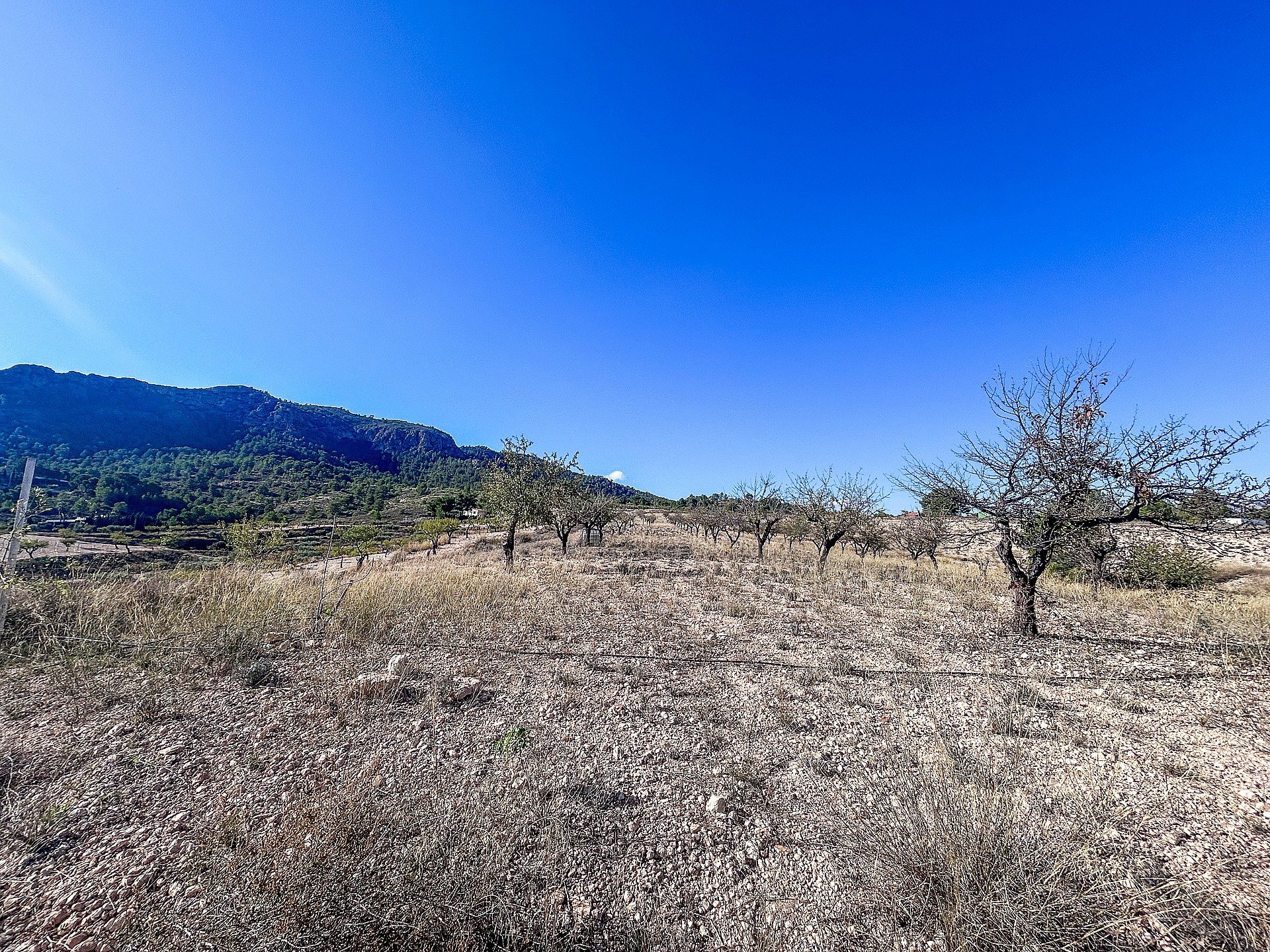 w_dw7de528aystuajr37xn