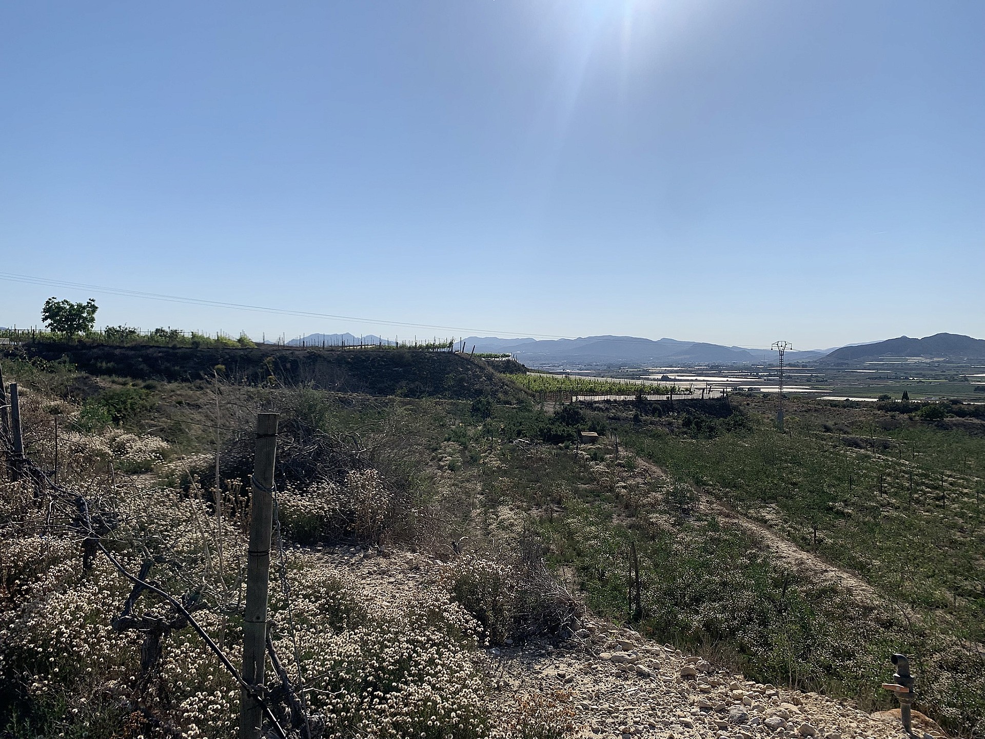 w_ecjzayrzibeinr0njvj4