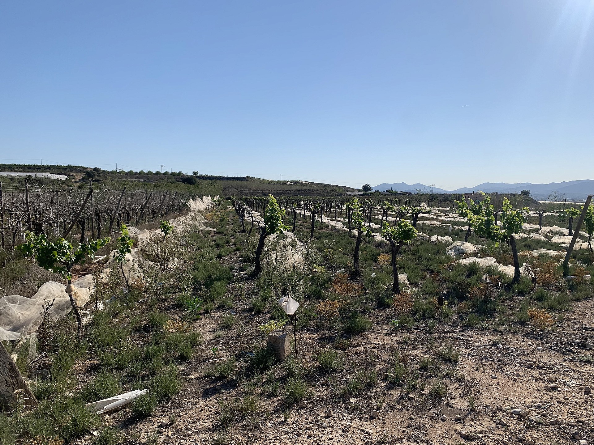 w_egap3r7juqz3e4356kvg