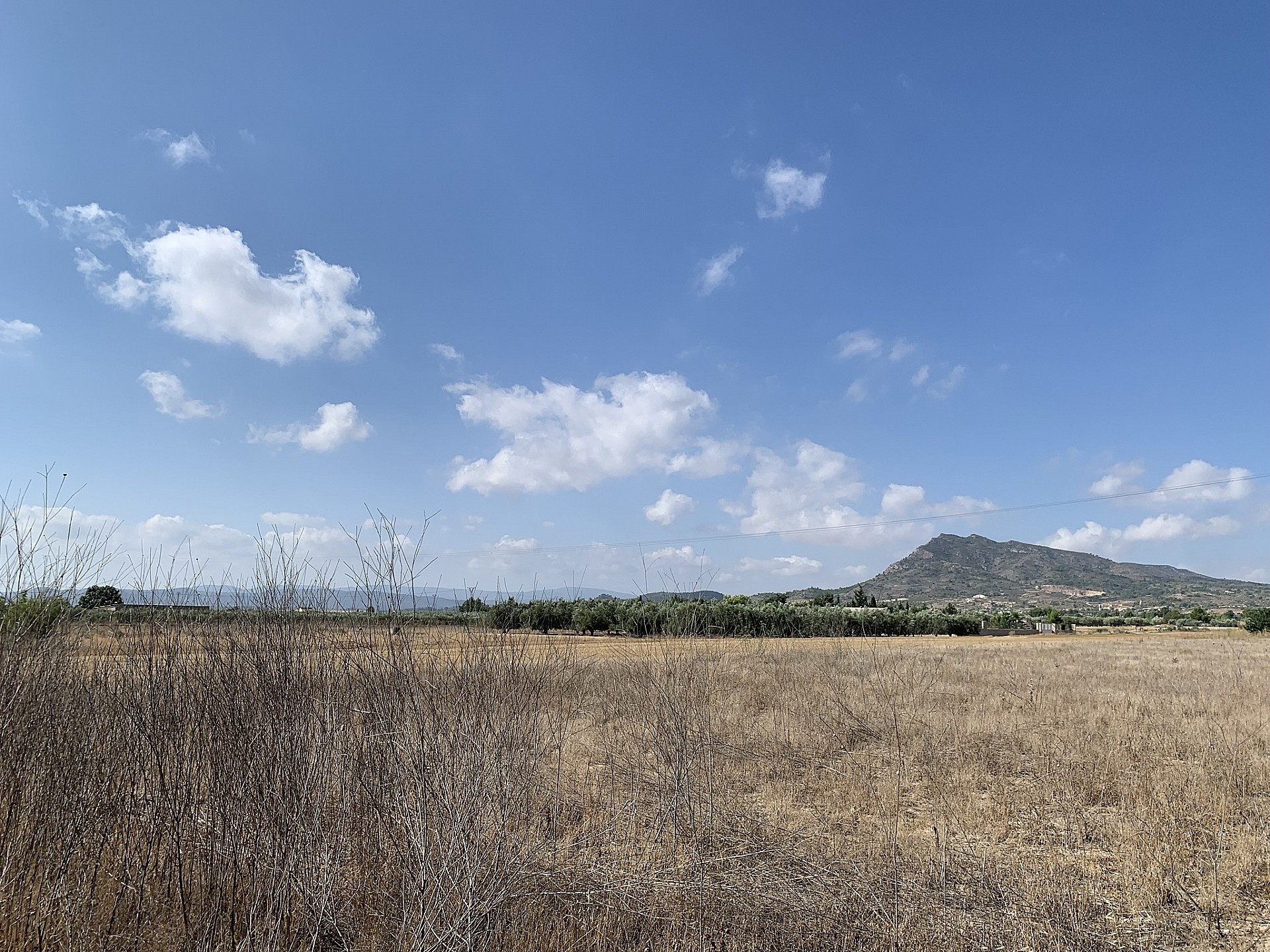 w_emhcsqf06s5iy3rkwoqv