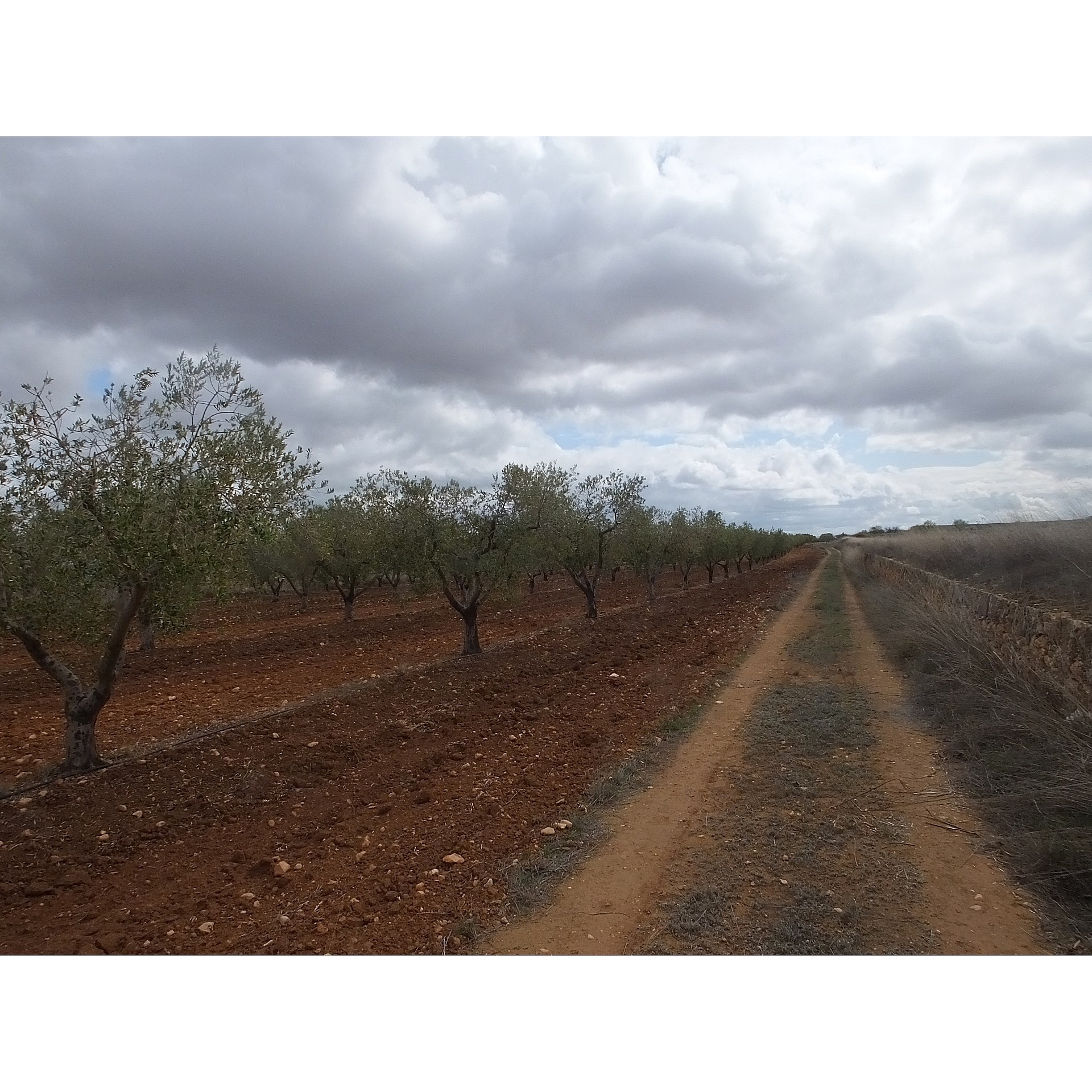 w_ep5dqsceojead65oeqpm