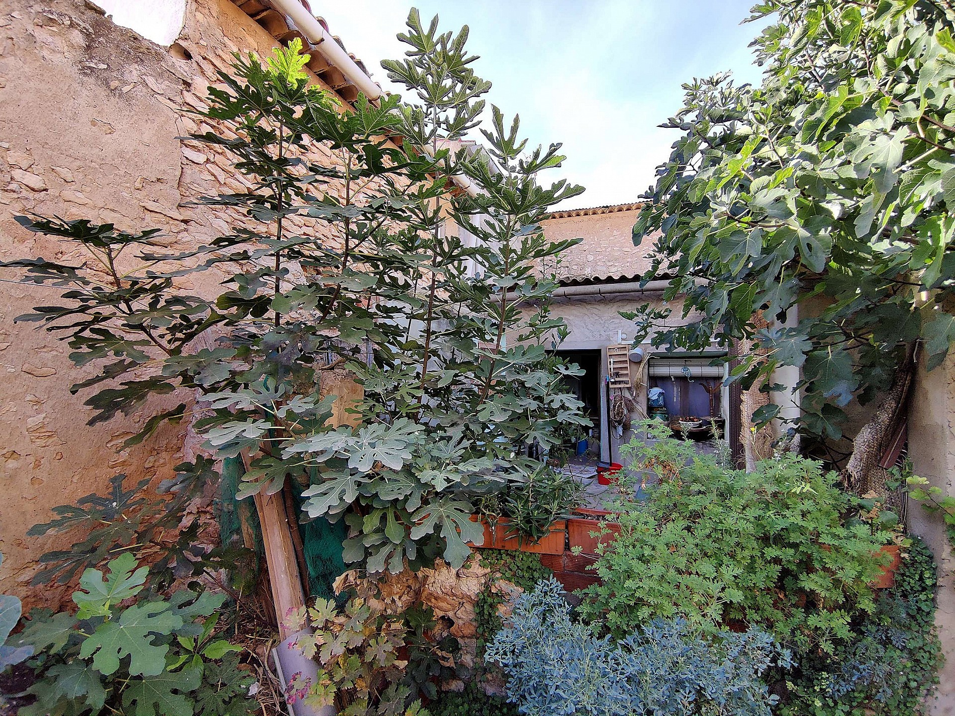 w_esz6ca66wr6zsx5wh4vb