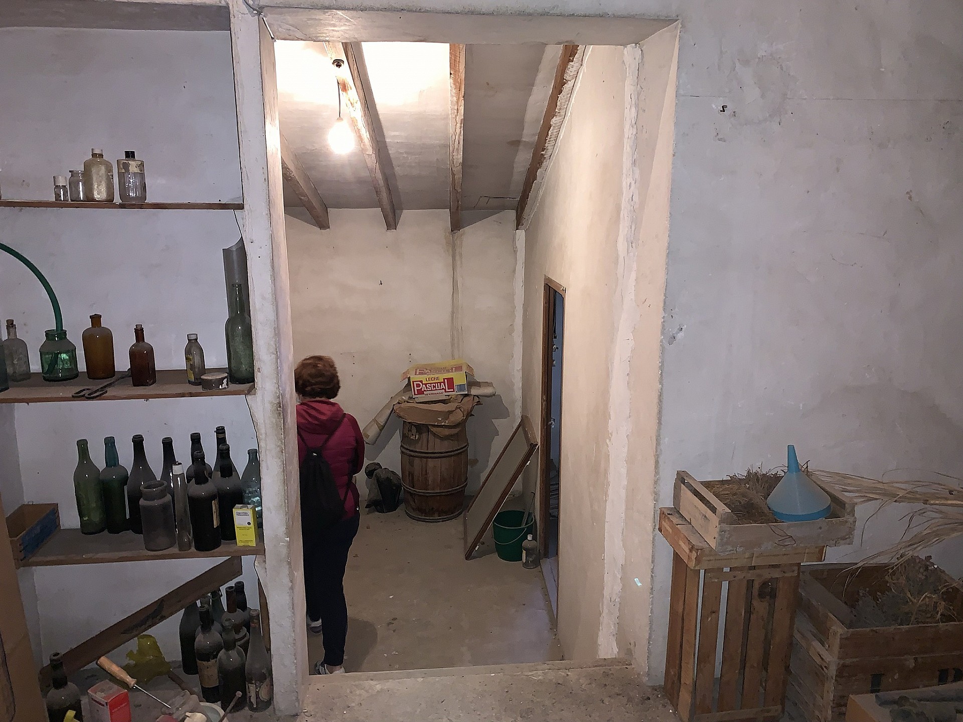 w_evv5e43xo2jvwtpdt3q7