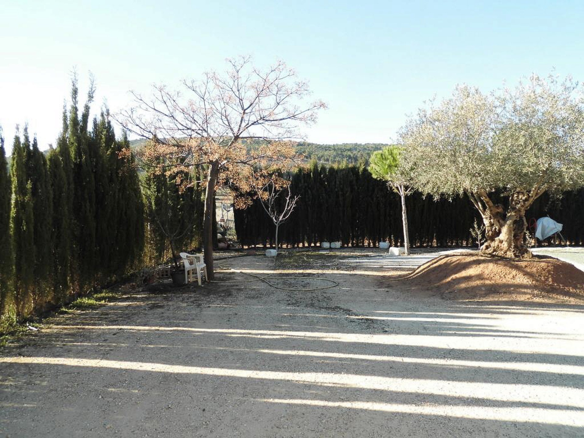 w_ezcjc33v3hwg8xqy27a6