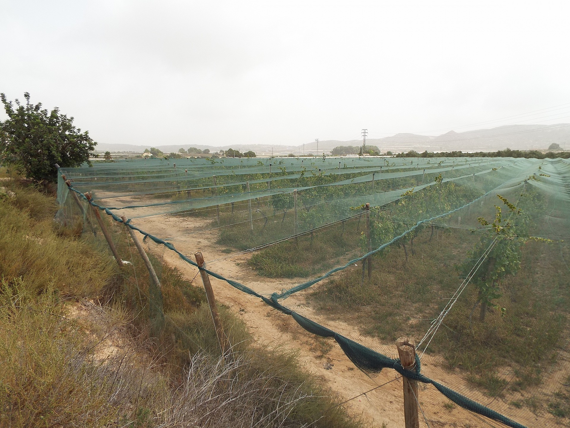 w_f4bi4zzddsj8wj64eha7