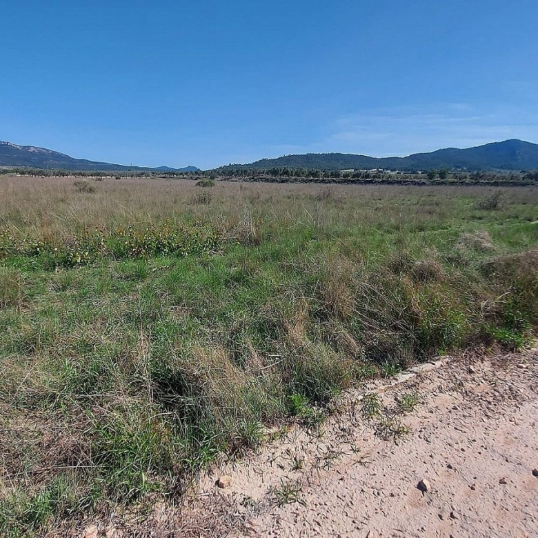 Grundstück in Salinas (Alicante)