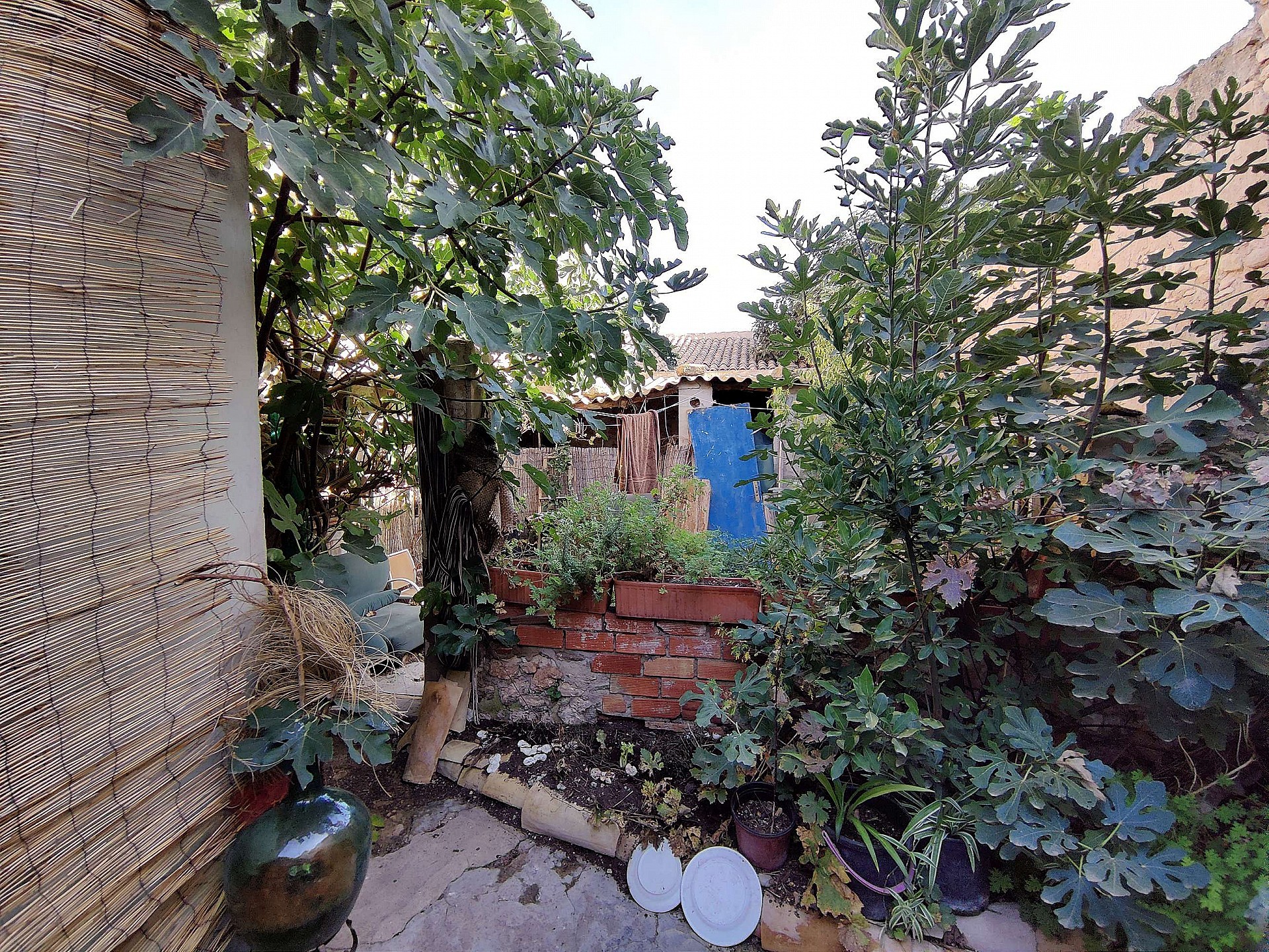 w_f702ff8f4biqv2w7bn6h