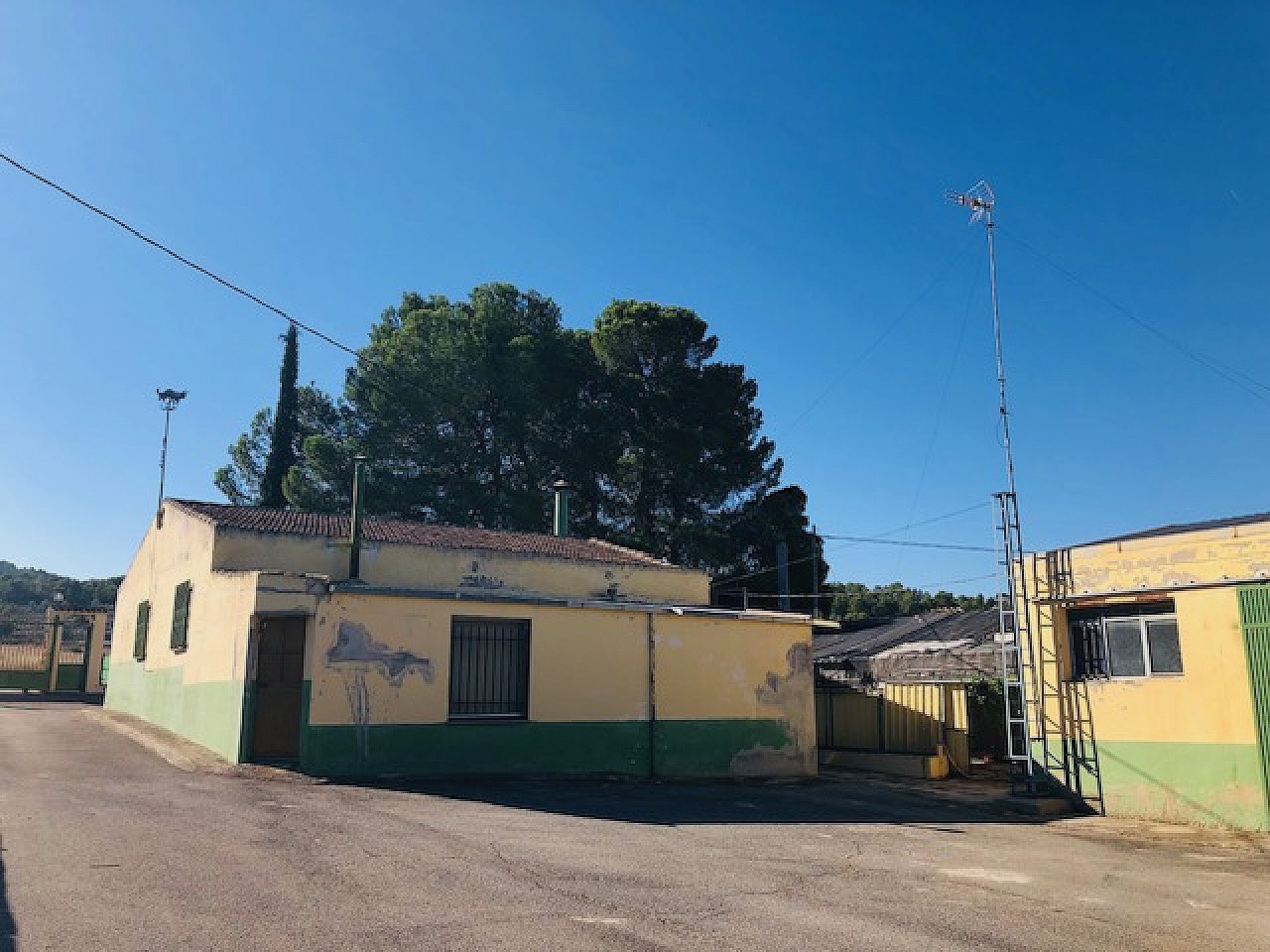 w_g0debtxp5nh0srzpapqa