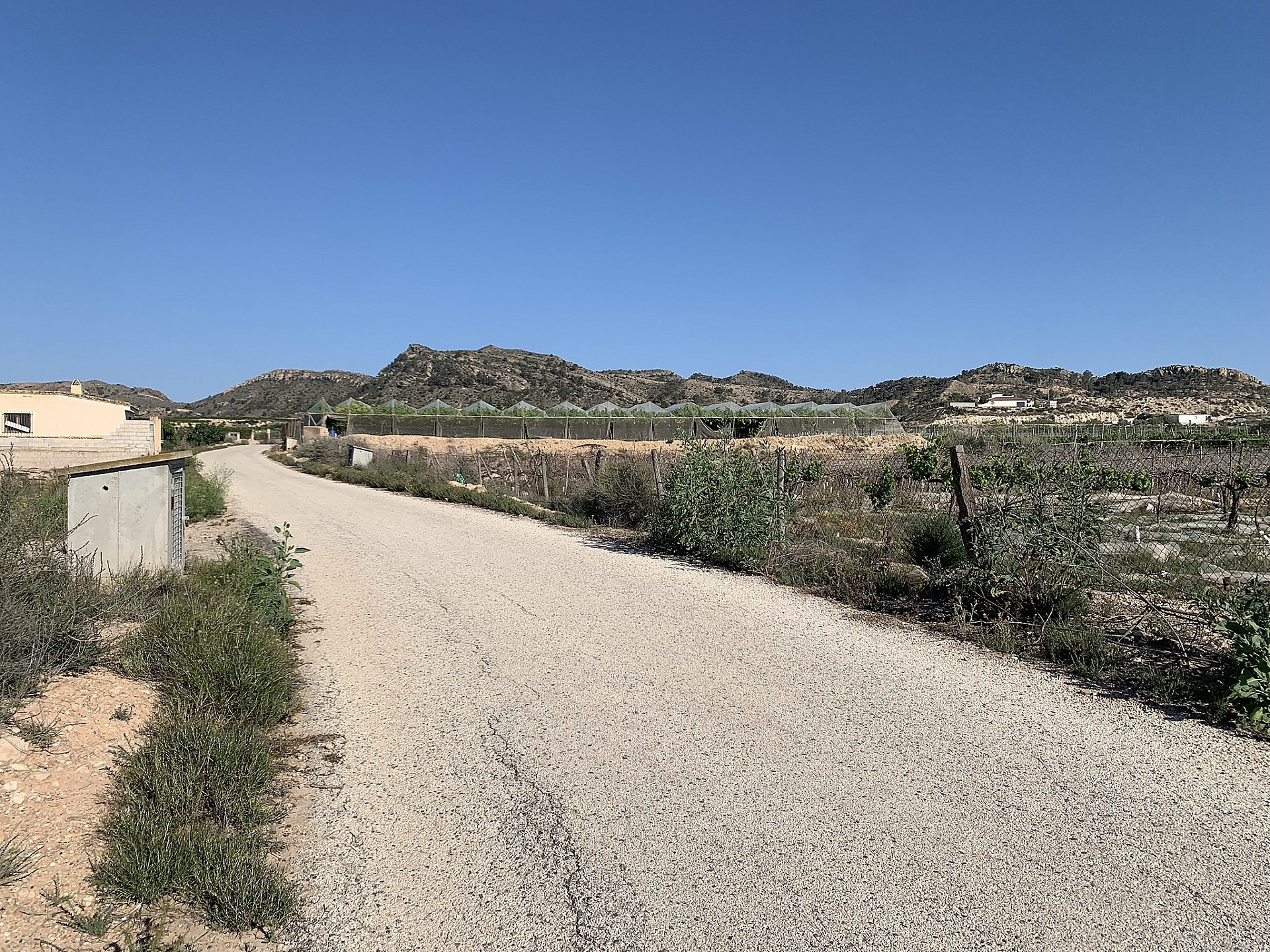 w_g2k6tkoot32mm0rxoya4