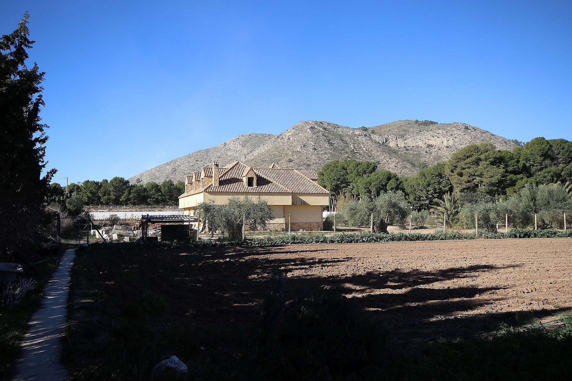 w_g2qvbx8of0adot783qmt