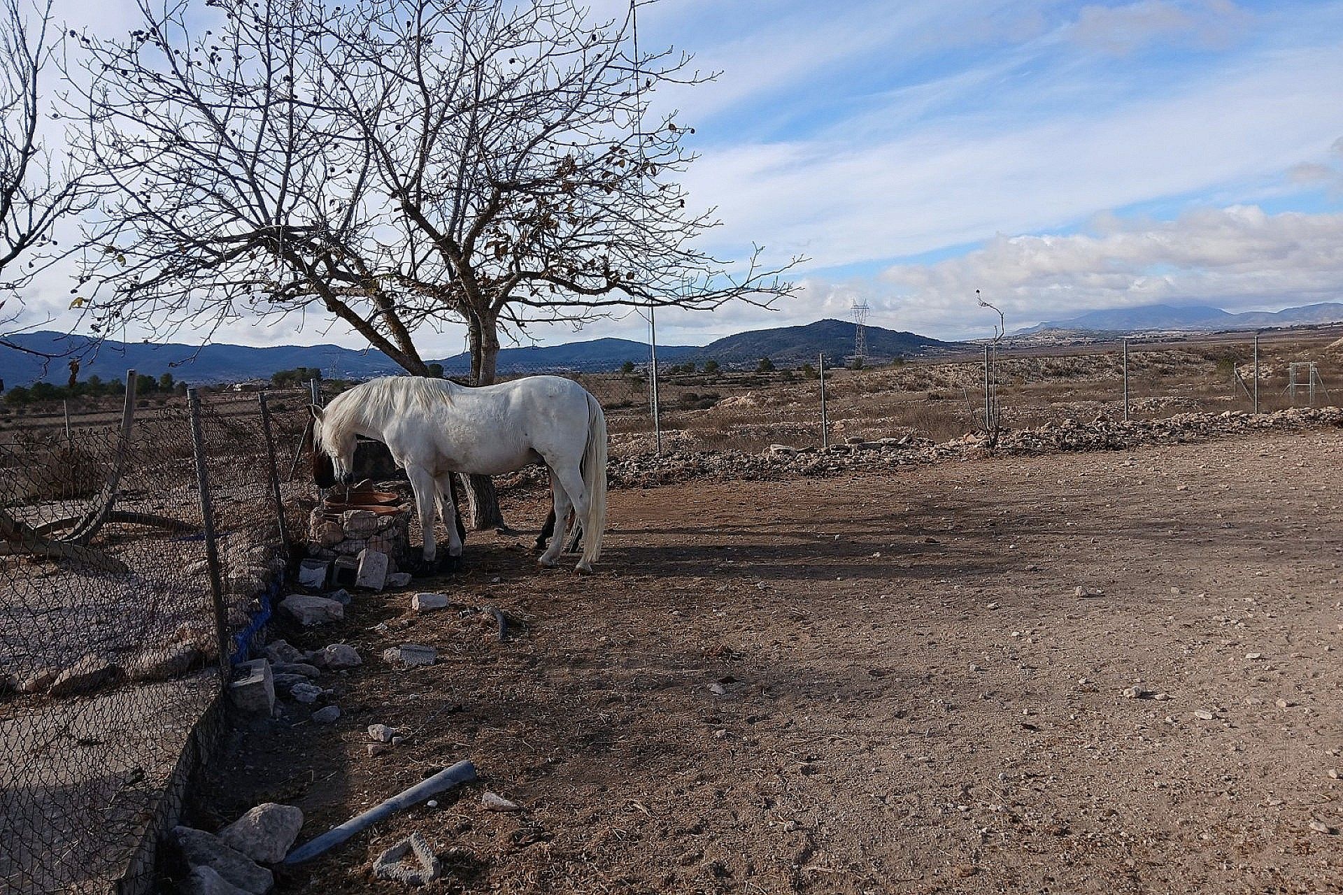 w_g_7x2a0vh8845cg3cf5h5b