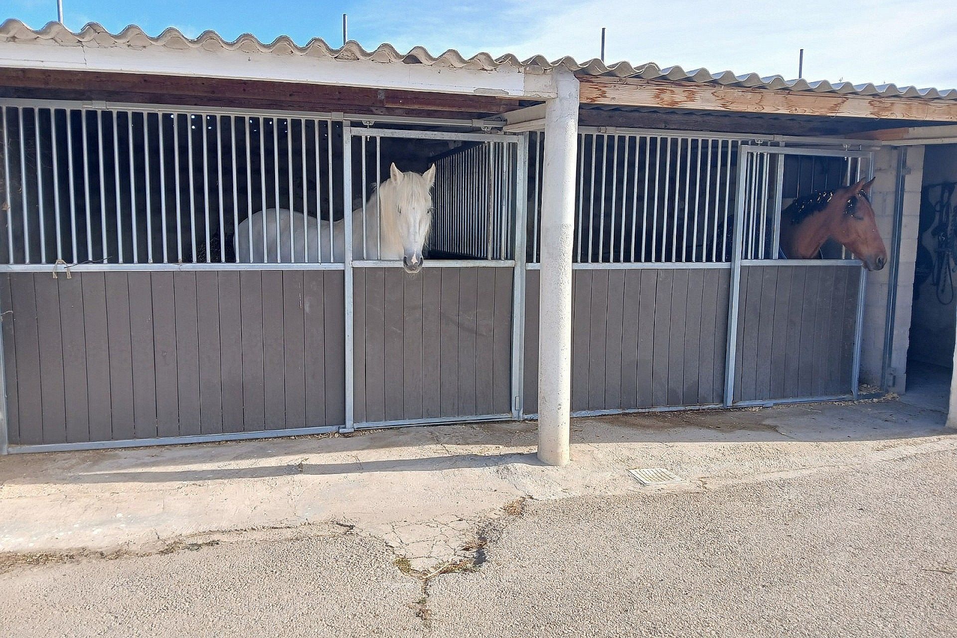 w_g_hkevj3u0fo8cxv0dwyeg